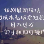 (10716期)短剧最新玩法    0成本私域卖短剧     月入过万     一部手机即可操作