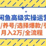 (10711期)2024闲鱼高级实操运营课程:开店/养号/选择爆款/引流/月入2万/全流程
