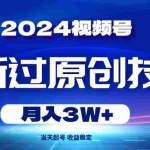 (10704期)2024视频号最新过原创技术,当天起号,收益稳定,月入3W+