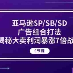 (10687期)亚马逊SP/SB/SD广告组合打法,揭秘大卖利润暴涨7倍战术 (9节课)