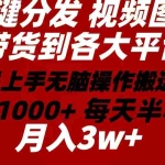 (10667期)2024年 一键分发带货图文视频  简单易上手 无脑赚收益 每天半小时日入1…