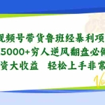 (10647期)视频号带货鲁班经暴利项目,日入5000+,穷人逆风翻盘必做项目,0投资…