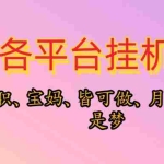 (10642期)靠挂机,在家躺平轻松月入过万,适合宝爸宝妈学生党,也欢迎工作室对接