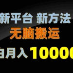 (10605期)新平台新方法,无脑搬运,月赚10000+,小白轻松上手不动脑