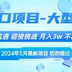 （10597期）2024年5月最新风口项目，抓住机遇，迎接挑战，月入3w+，不再是梦