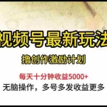 (10591期)视频号最新玩法,每日一小时月入5000+