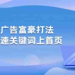 (10583期)亚马逊广告 富豪打法,实现快速关键词上首页