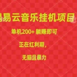 (10577期)网易云音乐挂机项目,单机200+,躺赚即可,正在红利期,无脑且暴力