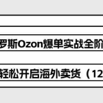 (10555期)俄罗斯 Ozon-爆单实战全阶体系课,零基础轻松开启海外卖货(12节课)