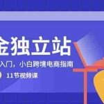 (10536期)掘金 独立站,0-1体系化入门,小白跨境电商指南(11节视频课)