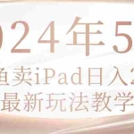 (10459期)2024年5月闲鱼卖ipad日入2k,最新玩法教学