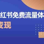 (10453期)爆款小红书免费流量体系课程,两周变现(20节课)