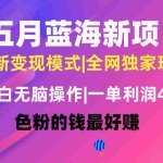 (10477期)五月蓝海项目全新玩法,小白无脑操作,一天几分钟,矩阵操作,月入4万+