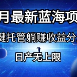 (10469期)五月刚出最新蓝海项目一键托管 躺赚收益分成 日产无上限