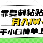 (10461期)仅靠复制粘贴,被动收益,轻松月入1w+,新手小白秒上手,互联网风口项目
