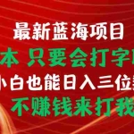 (10424期)最新蓝海项目 0成本 只要会打字聊天 小白也能日入三位数 不赚钱来打我