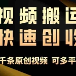 (10417期)一步一步教你赚大钱!仅视频搬运,月入3万+,轻松上手,打通思维,处处…