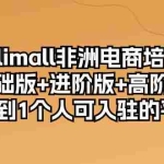 (10374期)kilimall非洲电商培训,基础版+进阶版+高阶版 从0-1个人可入驻的平台-12节