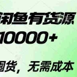 (10338期)2024闲鱼有货源,月入10000+2024闲鱼有货源,月入10000+