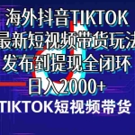 (10320期)海外短视频带货,最新短视频带货玩法发布到提现全闭环,日入2000+