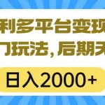 (10311期)一本万利多平台变现,市面所有热门玩法,日入2000+,后期无上限!