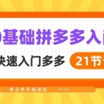 (10299期)新人0基础拼多多入门,纯小白快速入门多多(21节课)