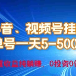 (10295期)24年最新抖音、视频号0成本挂机,单号每天收益上百,可无限挂