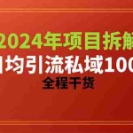 (10289期)2024项目拆解日均引流100+精准创业粉,全程干货