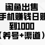 (10269期)闲鱼出售二手手机赚钱,日赚500到1000(养号+渠道)