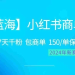 (10232期)2024蓝海项目【小红书商单】超级简单,快速千粉,最强蓝海,百分百赚钱