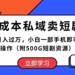 (10226期)0成本私域卖短剧,月入过万,小白一部手机即可操作(附500G短剧资源)