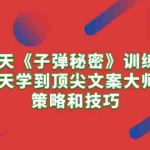 (10209期)21天《子弹秘密》训练营,21天学到顶尖文案大师的策略和技巧