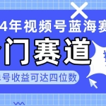 (10195期)2024视频号冷门蓝海赛道,操作简单 单号收益可达四位数(教程+素材+工具)