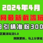 (10179期)刚刚研究的最新评论区截留玩法,日引流突破300+,颠覆以往垃圾玩法,比…