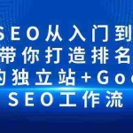 (10169期)谷歌SEO从入门到精通 带你打造排名 清晰的独立站+Google SEO工作流