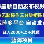 (10166期)2024最新视频矩阵玩法,小白无脑操作,轻松操作,3分钟一个视频,日入2k+