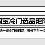 (10159期)淘宝冷门选品矩阵玩法:换种玩法,选一些冷门类目品,去分平台一点羹
