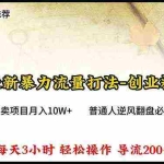 (10151期)2024年最新暴力流量打法,每日导入300+,靠卖项目月入10W+
