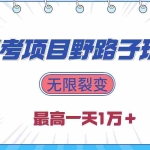 (10150期)2024高考项目野路子玩法,无限裂变,最高一天1W+!