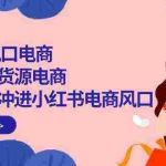 (10129期)2024新风口电商,小红书无货源电商,带第一批冲进小红书电商风口(18节)