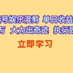 (10122期)视频号娱乐混剪  单日收益最高上万   大力出奇迹   执行即赚