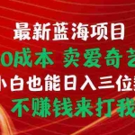 (10117期)最新蓝海项目 闲鱼0成本 卖爱奇艺会员 小白也能入三位数 不赚钱来打我