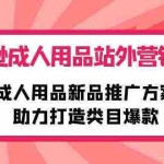 (10108期)亚马逊成人用品站外营销推广,成人用品新品推广方案,助力打造类目爆款