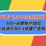 (10096期)谷歌广告B2C实战特训营,500+谷歌账户经验,实战演示从0-1搭建广告账户