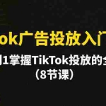(10085期)TikTok广告投放入门教程,从0到1掌握TikTok投放的全流程(8节课)