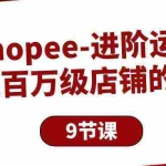 (10083期)Shopee-进阶运营:打造百万级店铺的技巧(9节课)