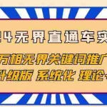 (10075期)2024无界直通车实战班,万相无界关键词推广,4.0升级版 系统化 理论+实操