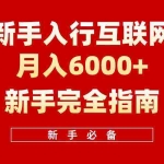 (10058期)互联网新手月入6000+完全指南 十年创业老兵用心之作,帮助小白快速入门