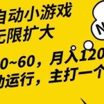(10046期)2024最新全网独家小游戏全自动,单机40~60,稳定躺赚,小白都能月入过万