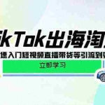 (10035期)TikTok-出海淘金,新手0-1快速入门短视频直播带货等引流到变现的知识